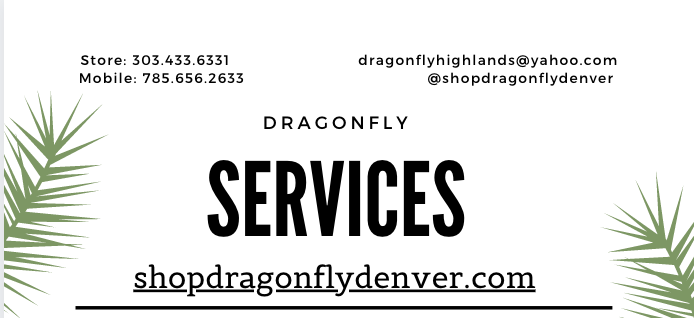 DRAGONFLY SERVICES UPDATE